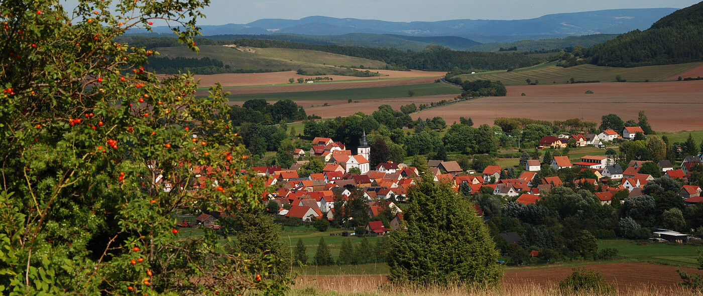 Blick auf Wiesenthal, Foto: S. Blume